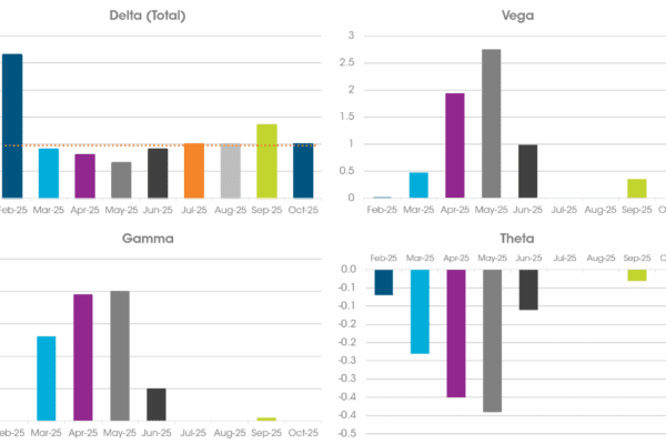 Greek Charts Bar chart illustrating unhedged monthly exposure to Greeks (Delta, Gamma, Vega, Theta) in a power options portfolio.