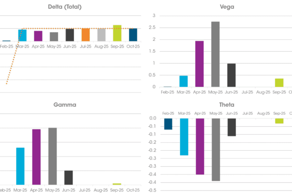 Greek Charts 2 Bar chart showing reduced monthly Greek exposure after Delta hedging power options portfolio.