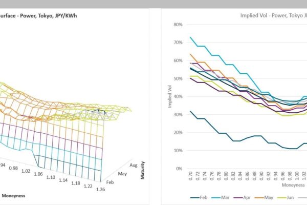 Volatility Surface 2D and 3D graphs showing implied volatility surface for Japanese power options by strike and expiry.